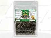 Bao Bì Hạt Hướng Dương 