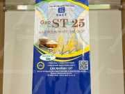 Bao Bì Đựng Gạo