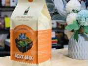 Bao Bì Đất Trồng