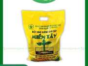 Bao Bì Đất Trồng