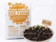 Bao Bì Đất Trồng