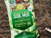 Bao Bì Đất Trồng