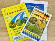 Bao Bì Hạt Giống