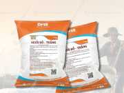 Bao Bì Đựng Muối