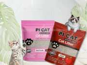 Bao Bì Đựng Cát Mèo