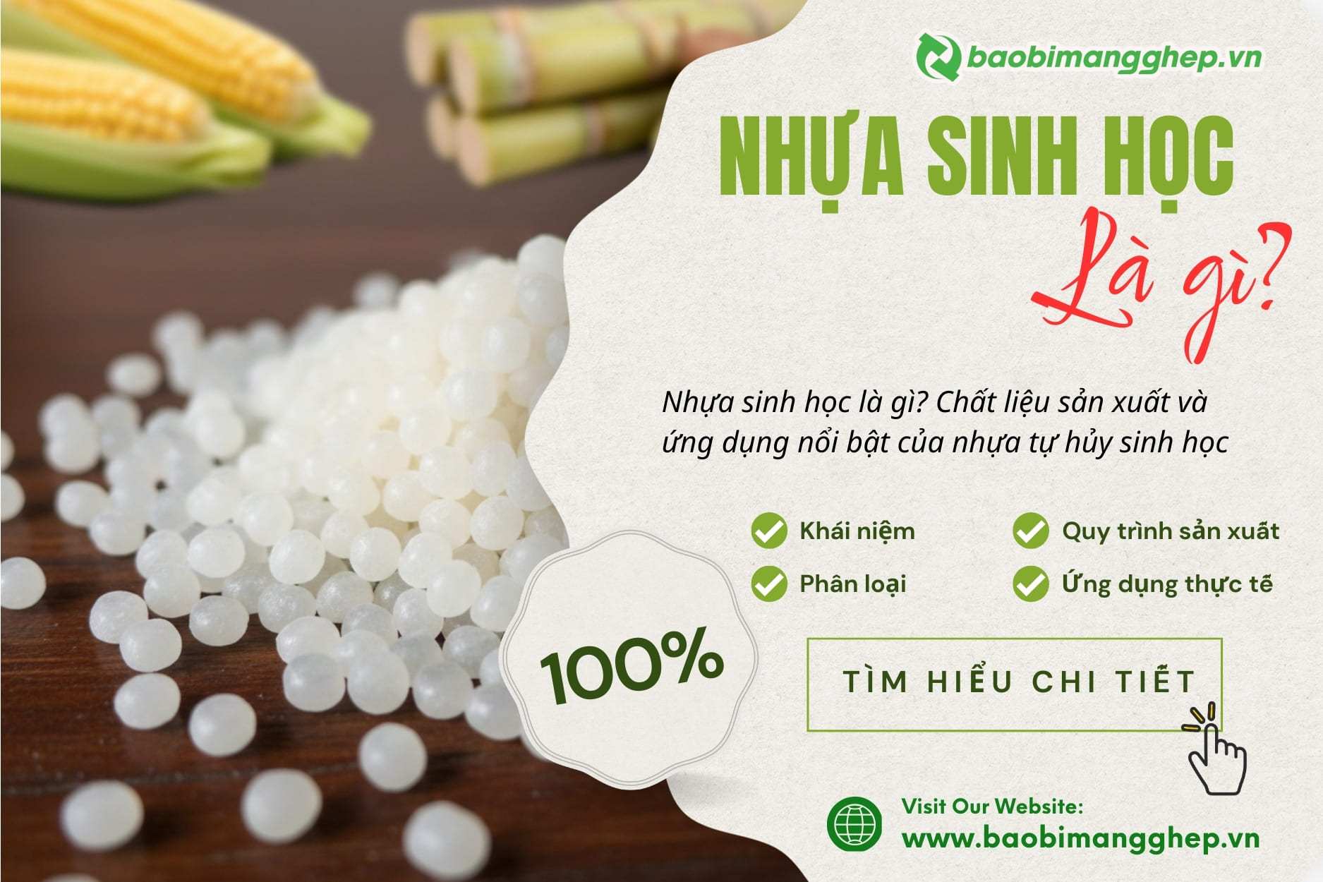 Nhựa Sinh Học Là Gì? Xu Hướng Sử Dụng Nhựa Sinh Học Cho Tương Lai