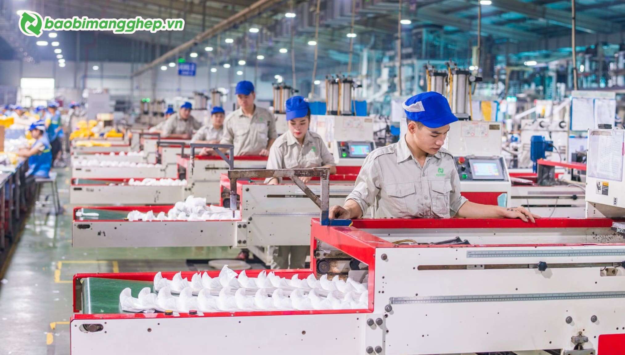 xuong-san-xuat-va-in-bao-bi-hat-nem-gia-re